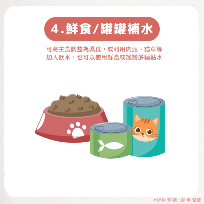 貓咪喝水_將主食更換為濕糧 / 使用各種零食補水